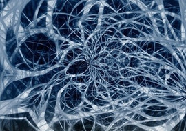 ระบบประสาท (nervous system) รูปภาพ 1