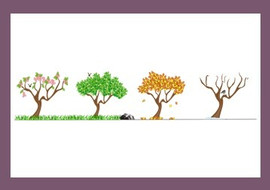ฤดูบนโลก พารามิเตอร์รูปภาพ 1
