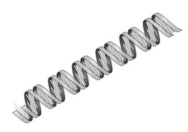 ลักษณะการเรียงตัวของ DNA ในจีโนม รูปภาพ 1