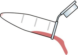 Fluids พารามิเตอร์รูปภาพ 1