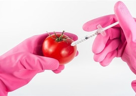 เคมีอาหาร (food chemistry) พารามิเตอร์รูปภาพ 1