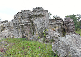 ลานหินหน่อ ที่ อุทยานแห่งชาติป่าหินงาม รูปภาพ 1