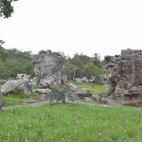 ลานหินหน่อ ที่ อุทยานแห่งชาติป่าหินงาม รูปภาพ 2