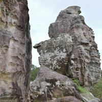 ลานหินหน่อ ที่ อุทยานแห่งชาติป่าหินงาม รูปภาพ 9