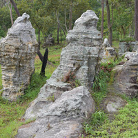 ลานหินหน่อ ที่ อุทยานแห่งชาติป่าหินงาม รูปภาพ 12