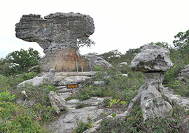 ลานหินงาม ที่ อุทยานแห่งชาติป่าหินงาม รูปภาพ 1