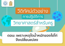 เพราะเหตุใดน้ำหนักของไข่ไก่จึงเปลี่ยนแปลง พารามิเตอร์รูปภาพ 1