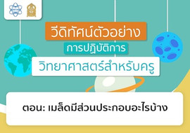 เมล็ดมีส่วนประกอบอะไรบ้าง พารามิเตอร์รูปภาพ 1