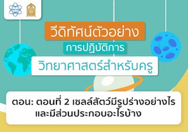 เซลล์สัตว์มีรูปร่างอย่างไร และมีส่วนประกอบอะไรบ้าง พารามิเตอร์รูปภาพ 1