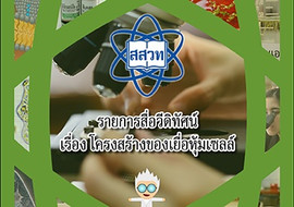 วีดิทัศน์ : โครงสร้างของเยื่อหุ้มเซลล์ พารามิเตอร์รูปภาพ 1