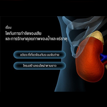 แอนิเมชัน : ... พารามิเตอร์รูปภาพ 1
