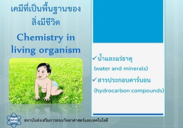 ไฟล์งานนำเสนอ : เคมีที่เป็นพื้นฐานของสิ่งมีชีวิต รูปภาพ 1