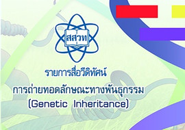 วีดิทัศน์ : การถ่ายทอดลักษณะทางพันธุกรรม พารามิเตอร์รูปภาพ 1
