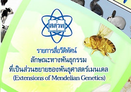 วีดิทัศน์ : ... พารามิเตอร์รูปภาพ 1