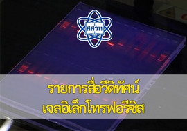 วีดิทัศน์ : เจลอิเล็กโทรฟอรีซิส พารามิเตอร์รูปภาพ 1