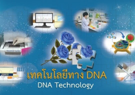 e-book : DNA Technology ... พารามิเตอร์รูปภาพ 1
