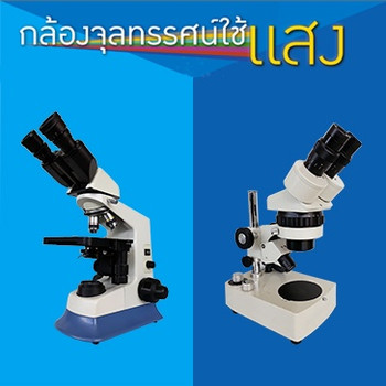 โปสเตอร์มัลติมีเดีย : กล้องจุลทรรศน์ใช้แสง รูปภาพ 1