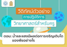น้ำ และแสง มีผลต่อการเจริญเติบโตของพืชอย่างไร พารามิเตอร์รูปภาพ 1