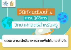 สารแต่งสีอาหารจากพืชได้มาอย่างไร พารามิเตอร์รูปภาพ 1