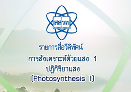 วีดิทัศน์ : ปฏิกิริยาแสง รูปภาพ 1