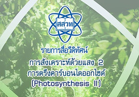 วีดิทัศน์ : การตรึงคาร์บอน พารามิเตอร์รูปภาพ 1