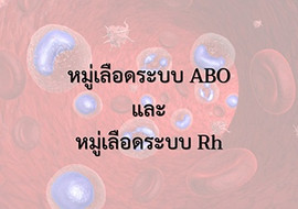 แอนิเมชัน : หมู่เลือดระบบ ABO และหมู่เลือดระบบ Rh รูปภาพ 1