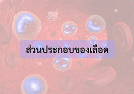 แอนิเมชัน : ส่วนประกอบของเลือด พารามิเตอร์รูปภาพ 1