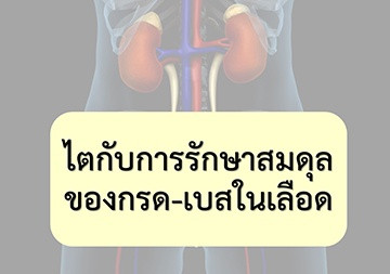 แอนิเมชัน : ไตกับการรักษาสมดุลกรด-เบสในเลือด พารามิเตอร์รูปภาพ 1