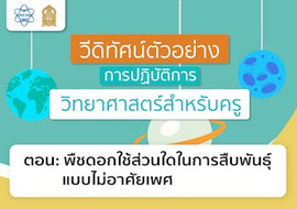 พืชดอกใช้ส่วนใดในการสืบพันธุ์แบบไม่อาศัยเพศ พารามิเตอร์รูปภาพ 1