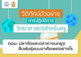 ปลากัดและปลาหางนกยูงสืบพันธุ์แบบอาศัยเพศอย่างไร พารามิเตอร์รูปภาพ 1