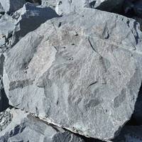 หินแอนดิไซต์ (Andesite) พารามิเตอร์รูปภาพ 3