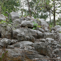 หินปูนที่มีซากดึกดำบรรพ์ (fossilliferous limestone) รูปภาพ 1