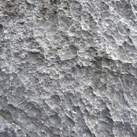 หินปูนที่มีซากดึกดำบรรพ์ (fossilliferous limestone) รูปภาพ 3