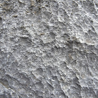 หินปูนที่มีซากดึกดำบรรพ์ (fossilliferous limestone) พารามิเตอร์รูปภาพ 3