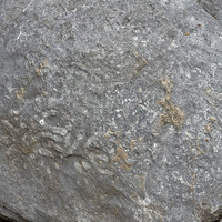 หินปูนที่มีซากดึกดำบรรพ์ (fossilliferous limestone) พารามิเตอร์รูปภาพ 5