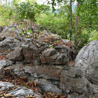 หินปูนที่มีซากดึกดำบรรพ์ (fossilliferous limestone) พารามิเตอร์รูปภาพ 2