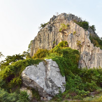 หินปูน (limestone) รูปภาพ 1