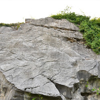 หินปูน (limestone) รูปภาพ 4