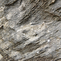 หินปูน (limestone) รูปภาพ 5