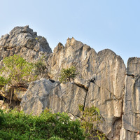 หินปูน (limestone) รูปภาพ 2
