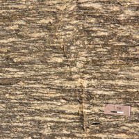 หินไนส์ (gneiss) พารามิเตอร์รูปภาพ 7
