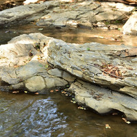 หินดินดาน (shale) รูปภาพ 3