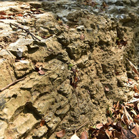 หินดินดาน (shale) รูปภาพ 4