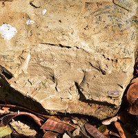 หินดินดาน (shale) พารามิเตอร์รูปภาพ 5