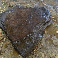 หินดินดาน (shale) พารามิเตอร์รูปภาพ 6