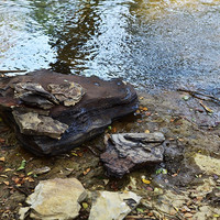 หินดินดาน (shale) พารามิเตอร์รูปภาพ 8