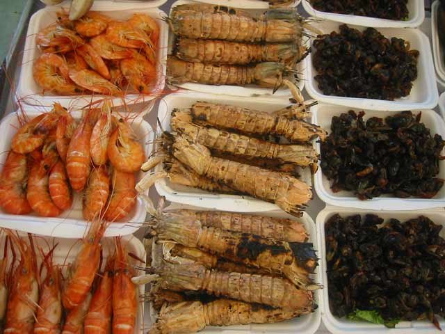 กุ้ง กั้ง ย่าง