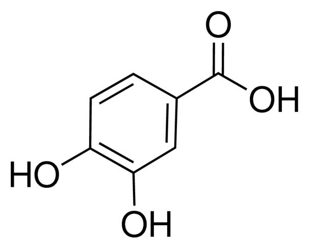 protocatechuic acid