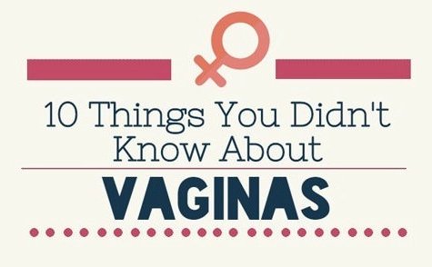 10 things about vagina