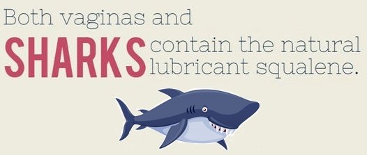 vagina and shark also have squalene